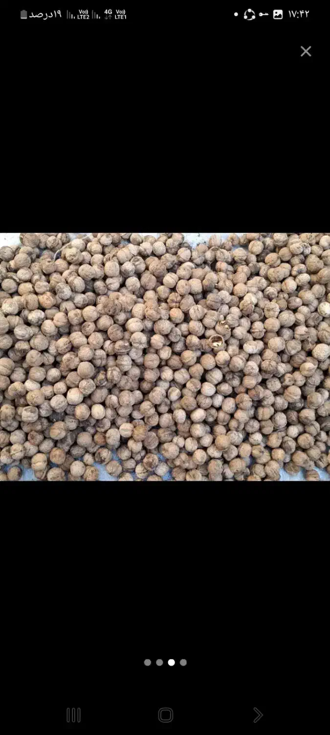 بادام و گردو وابغوره و سرکه محلی|خوردنی و آشامیدنی|سبزوار, هویزه|دیوار