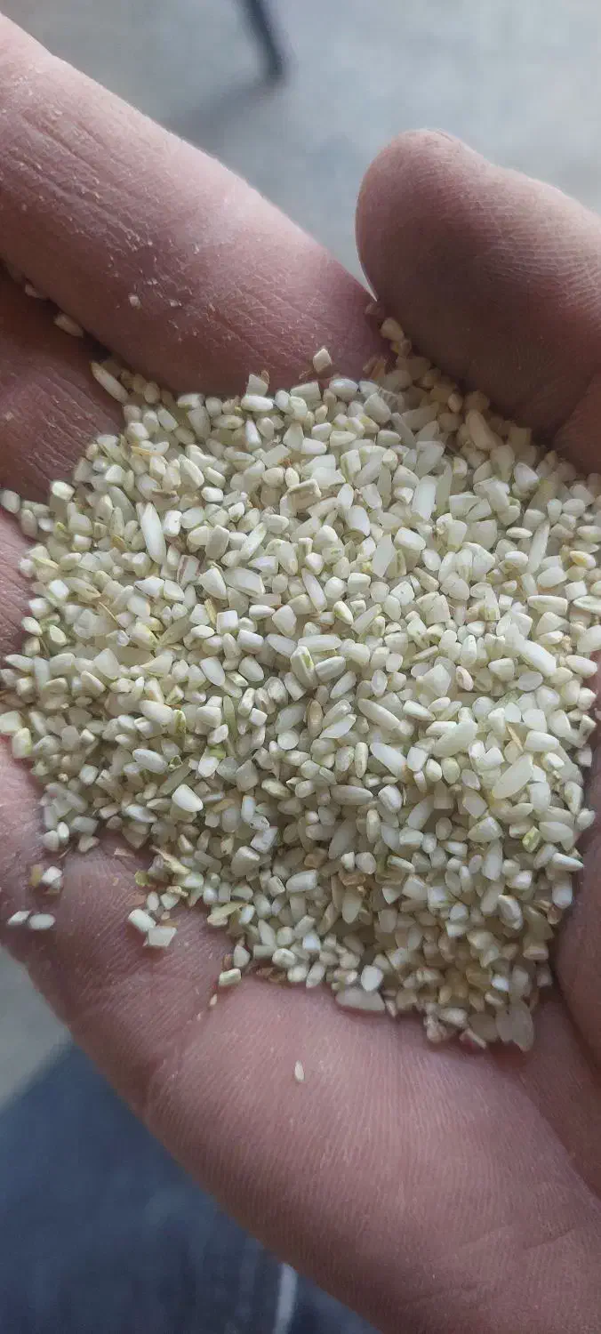 برنج عنبر بو درجه ۱|خوردنی و آشامیدنی|کوهدشت, |دیوار