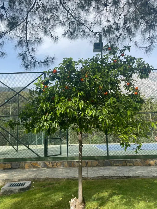 ۵۲ متر تکواحدی قیطریه|فروش آپارتمان|تهران, قیطریه|دیوار