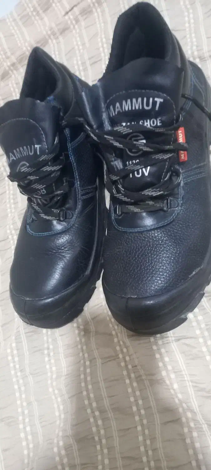 پوتین شرکتی|کیف، کفش، کمربند|مسجد سلیمان, |دیوار