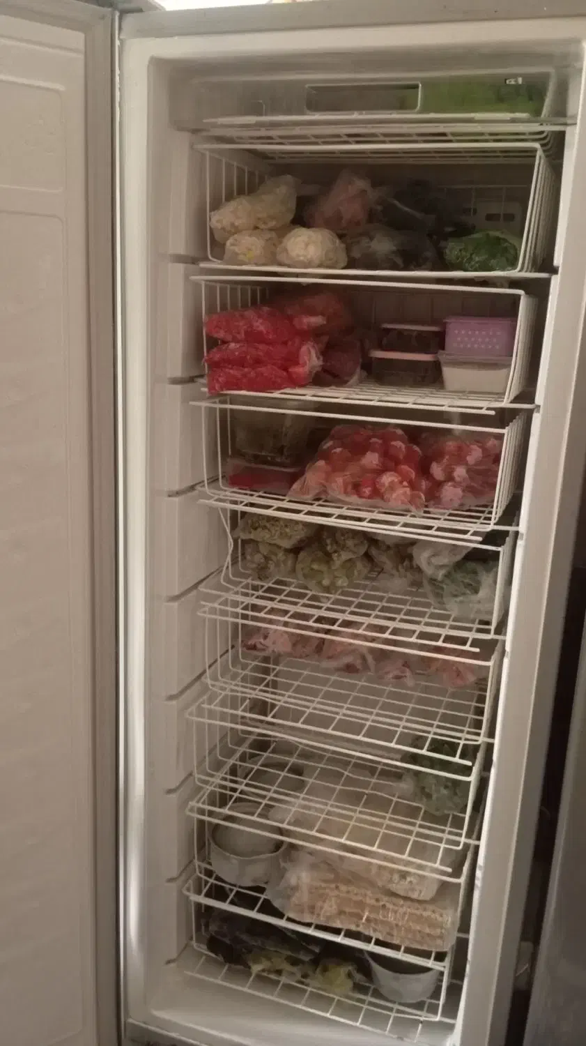 سلام قیمت 25تومن|یخچال و فریزر|رشت, کوی مهر|دیوار