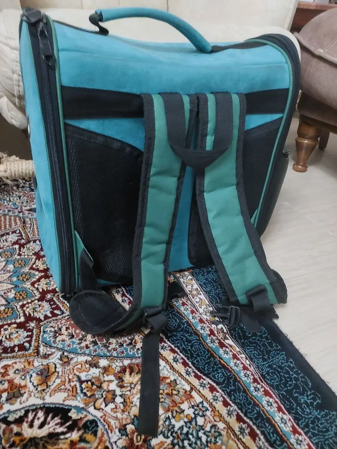 کوله حمل پرنده سالم|لوازم جانبی حیوانات|قرچک, مهدیه|دیوار