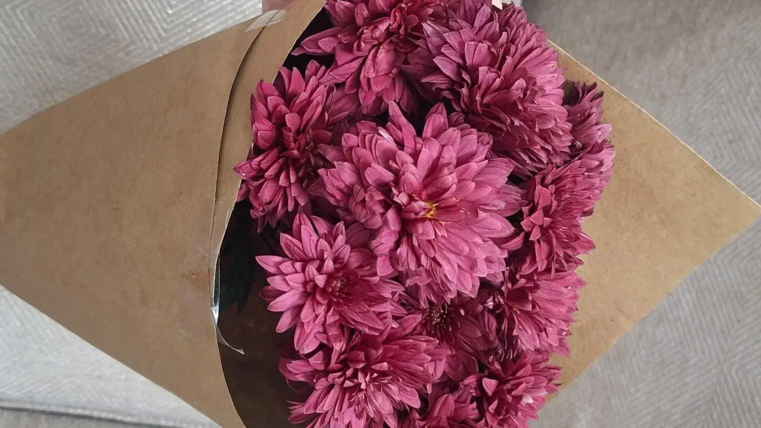 گل داوودی دسته گل|گل و گیاه طبیعی|مشهد, امام رضا (ع)|دیوار