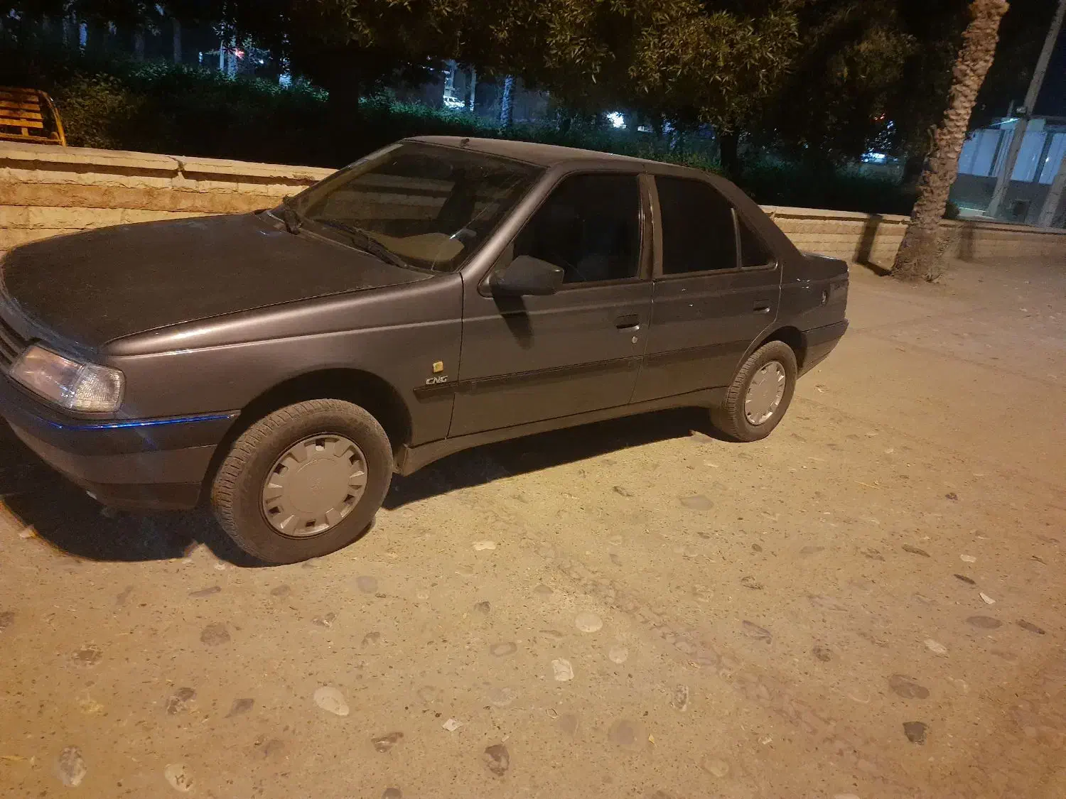 پژو ۴۵ دوگانه شرکتی|خودرو سواری و وانت|رودخانه, |دیوار