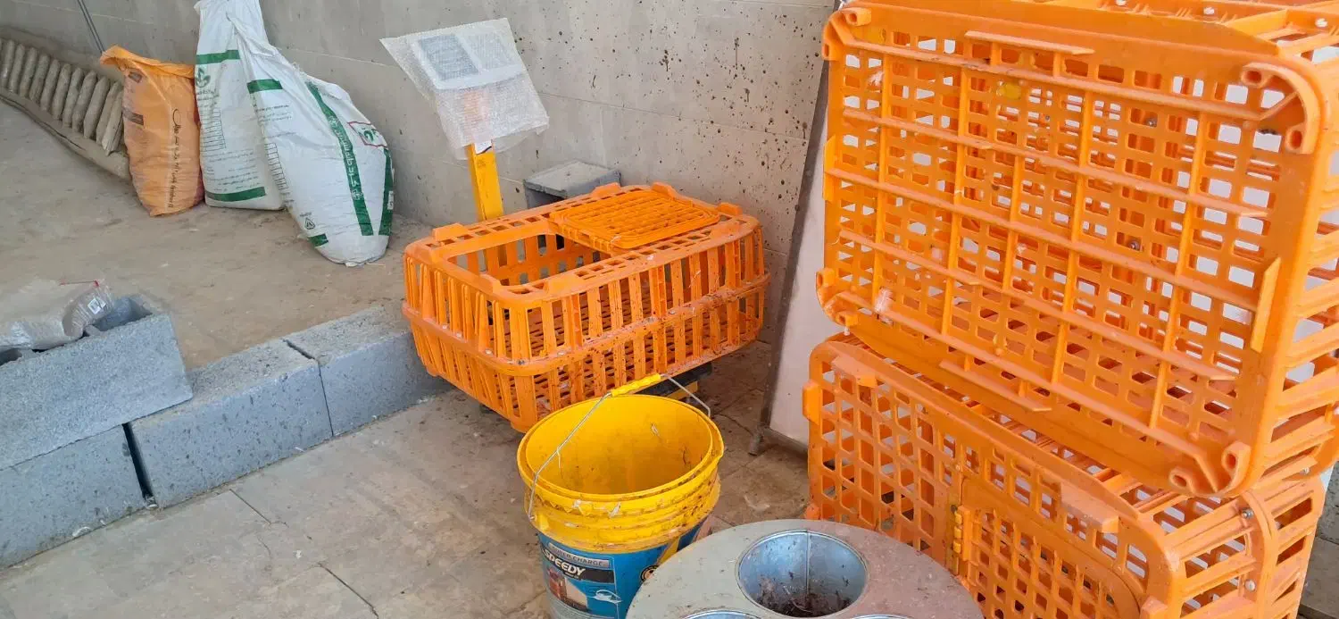 دستگاه پرکن مرغ|فروشگاه و مغازه|کرمانشاه, |دیوار