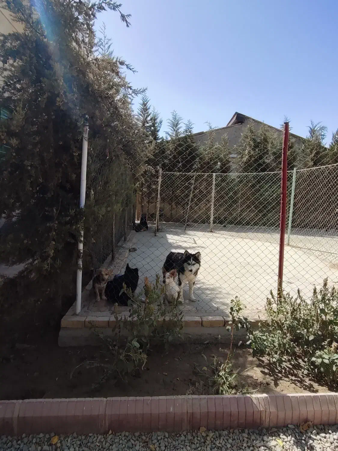 اجاره سوله.پانسیون.حیوانات کلینیک. انبار. کارگا|اجارهٔ دفتر صنعتی، کشاورزی، تجاری|رامجین, |دیوار