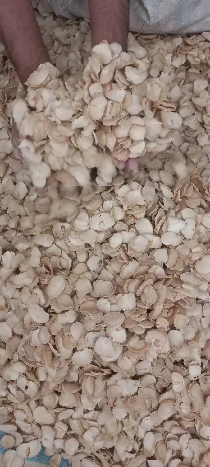 موسیر پلاک|عمده‌فروشی|تیران, |دیوار