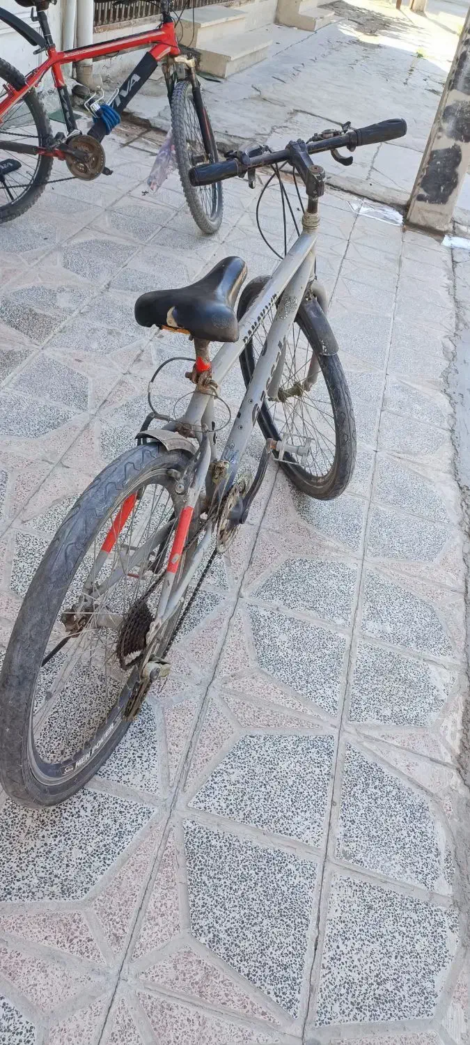 دوچرخه دماوند اصلی|دوچرخه، اسکیت، اسکوتر|کرمانشاه, |دیوار