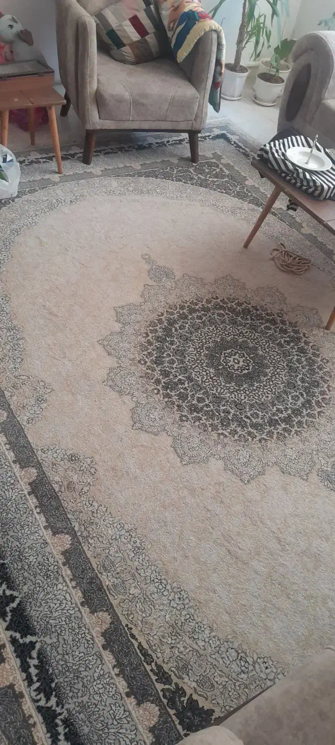 دوجفت فرش ۹ متری|فرش|ری, بی‌بی شهر بانو|دیوار