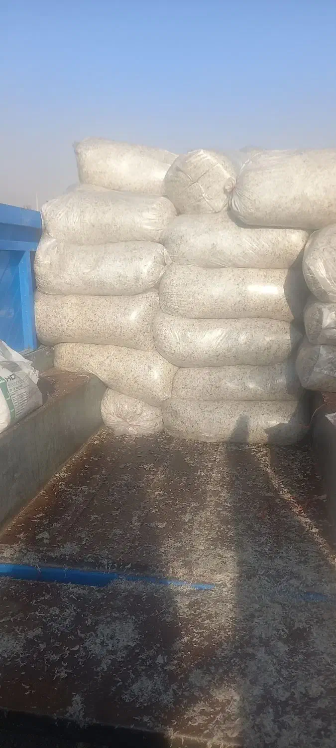 تفاله چغندر|لوازم جانبی حیوانات|بستان آباد, |دیوار