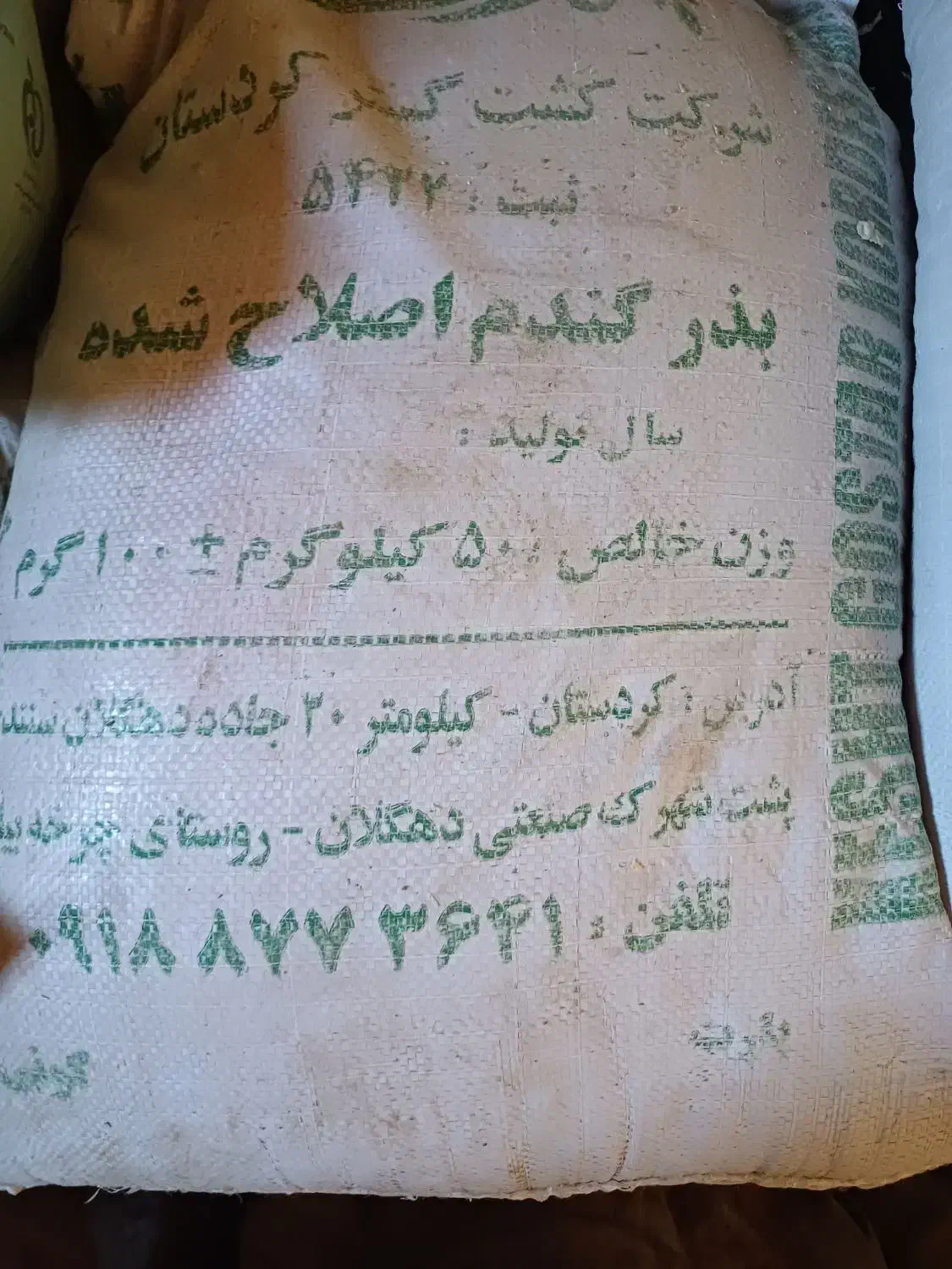 گندم بذر|خدمات باغبانی و درختکاری|سنندج, |دیوار