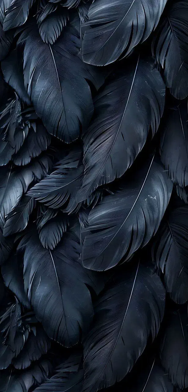 مرغ عشق پیدا شده|حیوانات|اردبیل, |دیوار