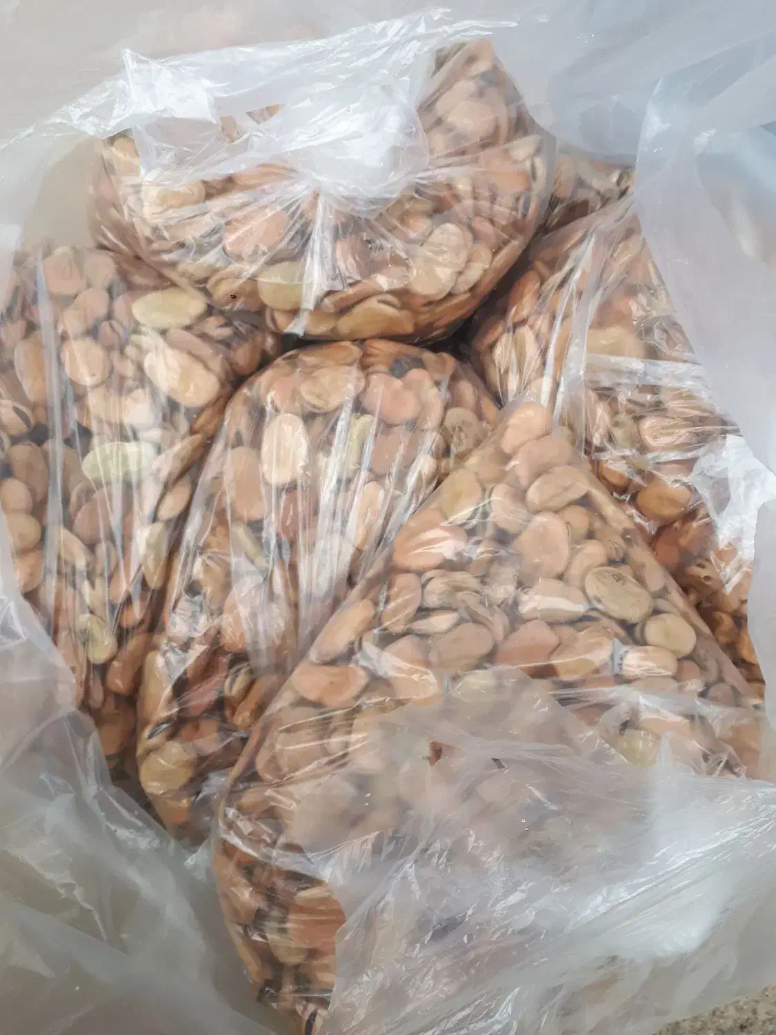 باقالی مازندرانی محلی ارگانیک|خوردنی و آشامیدنی|بندر انزلی, چهارفریضه|دیوار