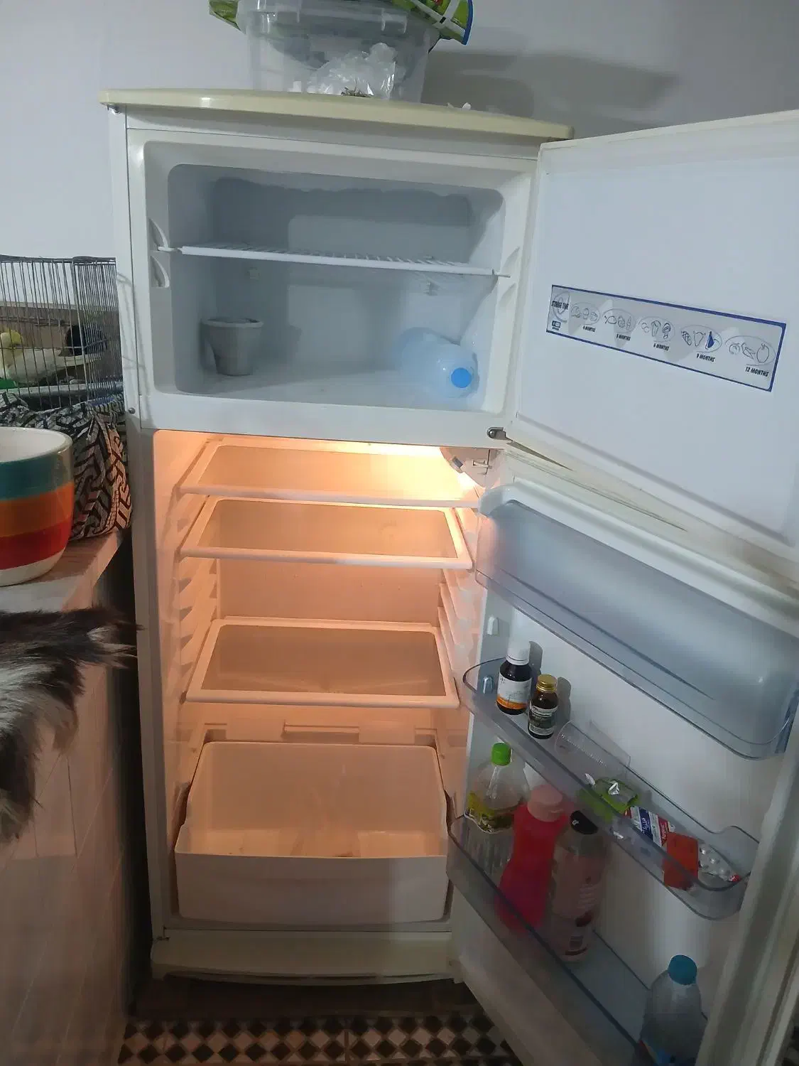 یخچال فیلور|یخچال و فریزر|ملایر, |دیوار