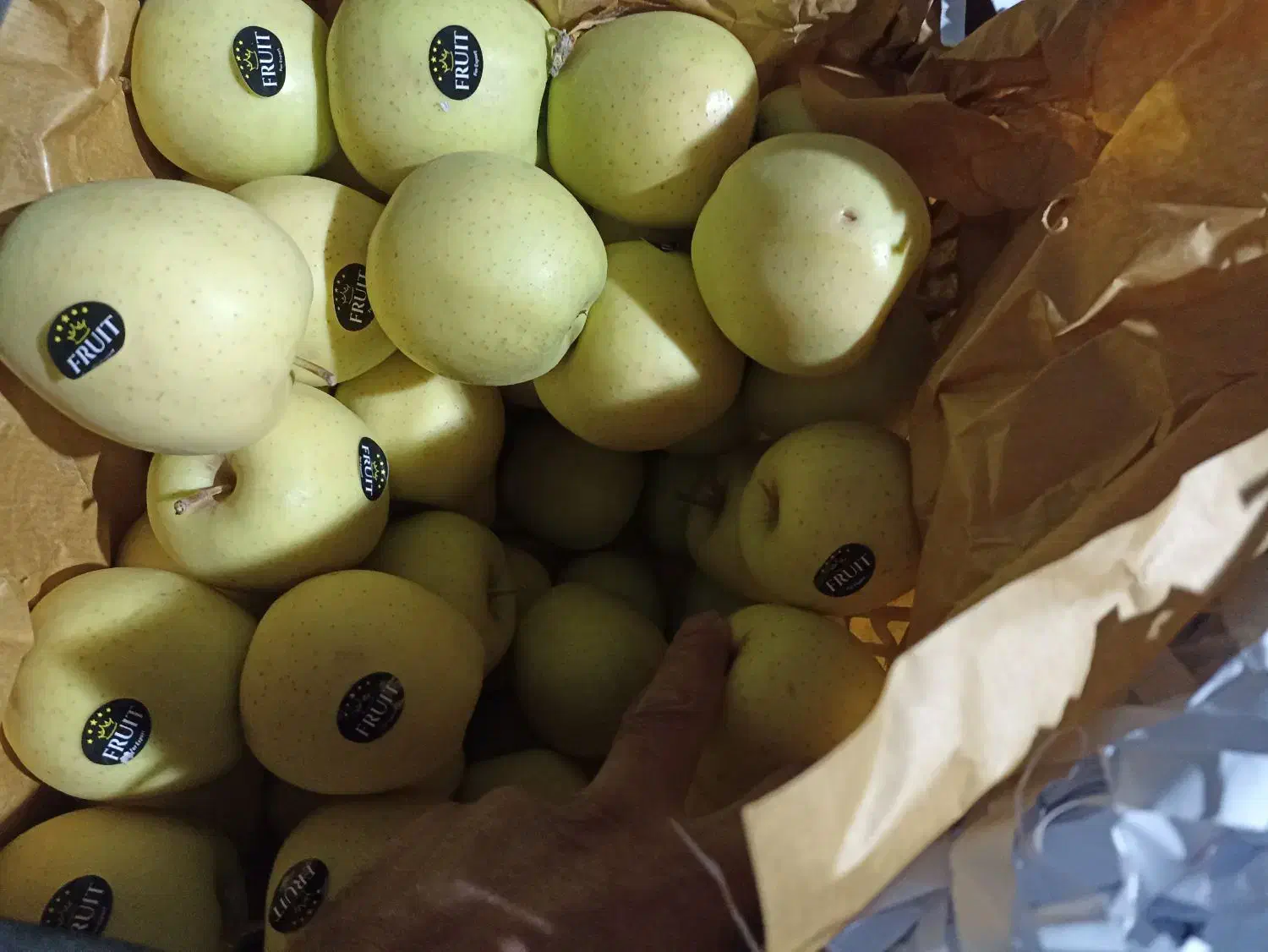 سیب|خوردنی و آشامیدنی|سیلوانه, |دیوار