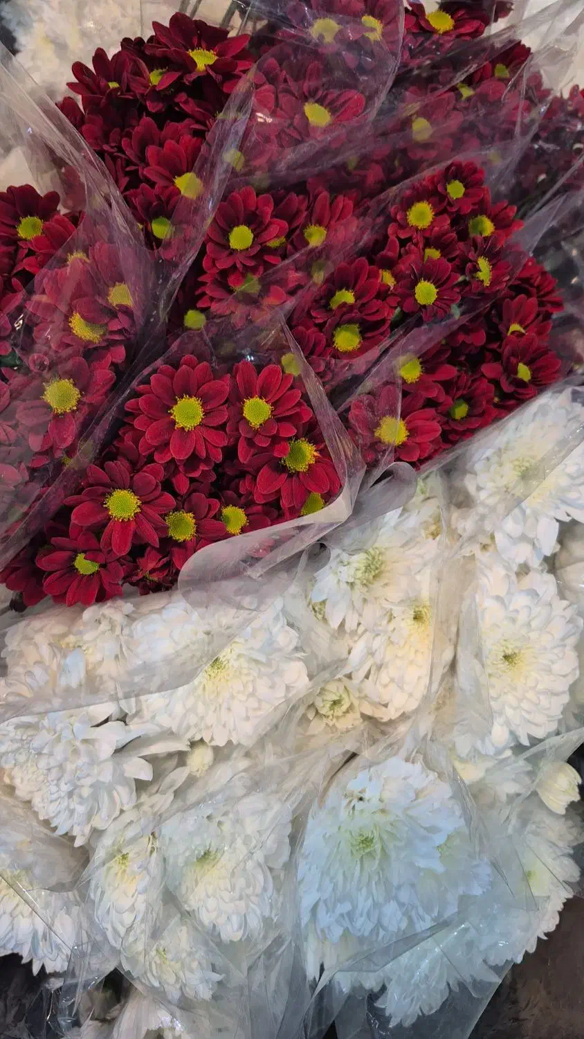 گل آرایی مجالس|گل و گیاه طبیعی|اصفهان, نصرآباد|دیوار