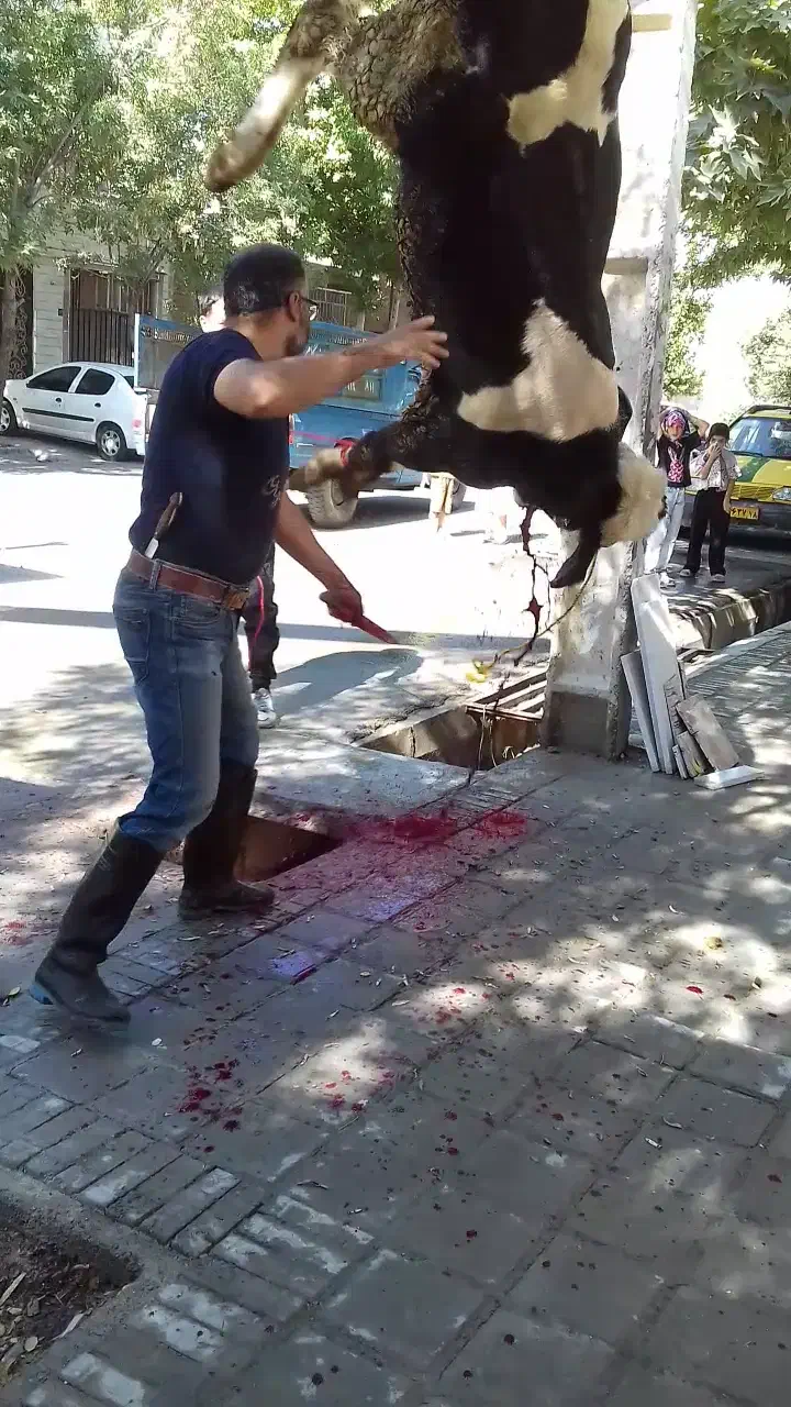 سلاخ حرفه ای قصاب|خدمات پذیرایی، مراسم|ملایر, |دیوار