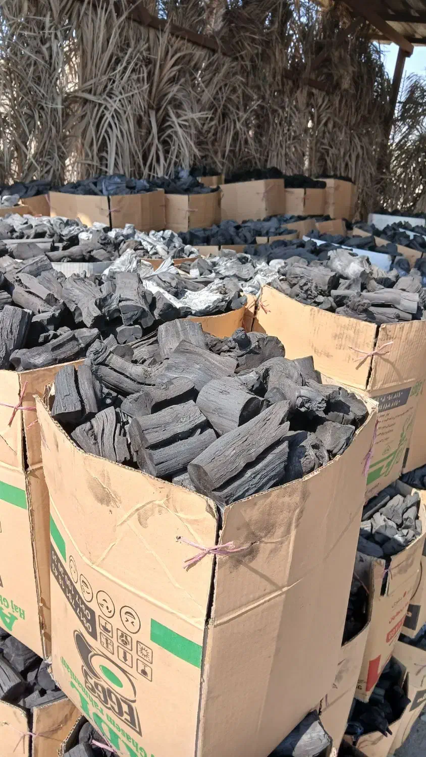 فروش ذغال کبابی انگور|عمده‌فروشی|جهرم, |دیوار