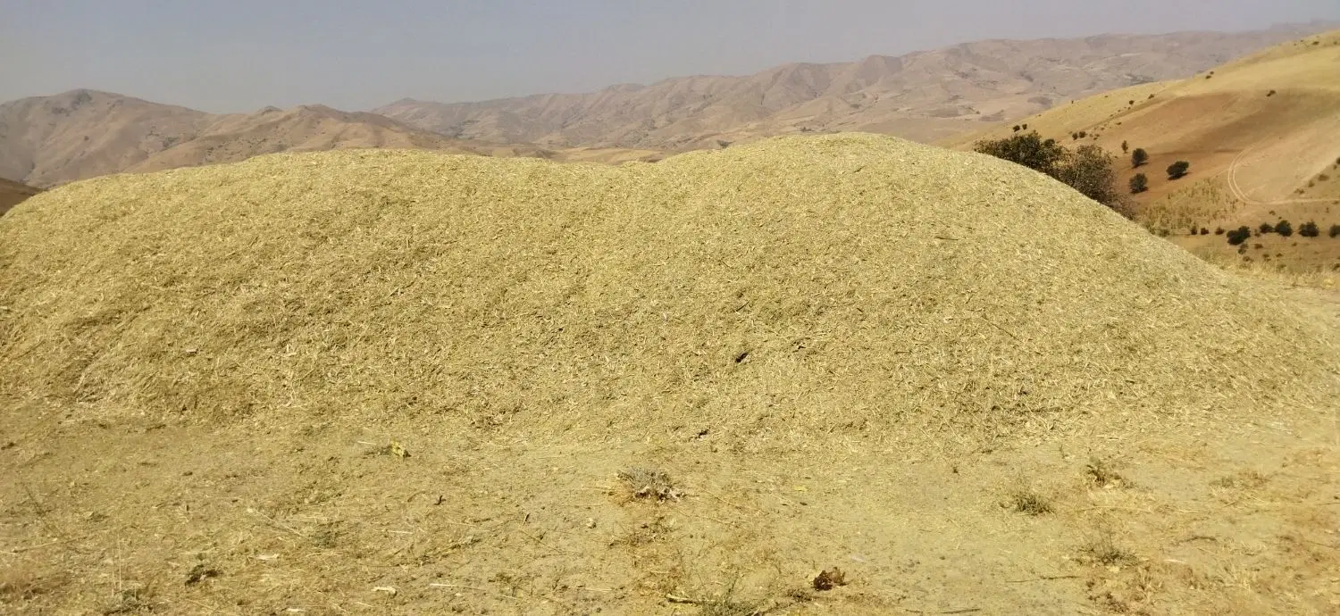 گزره|خوردنی و آشامیدنی|امام, |دیوار