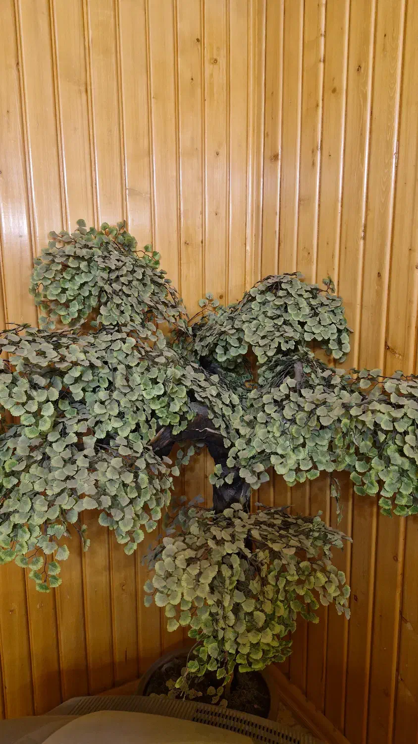 درختچه مصنوعی|گل مصنوعی|شاهرود, |دیوار