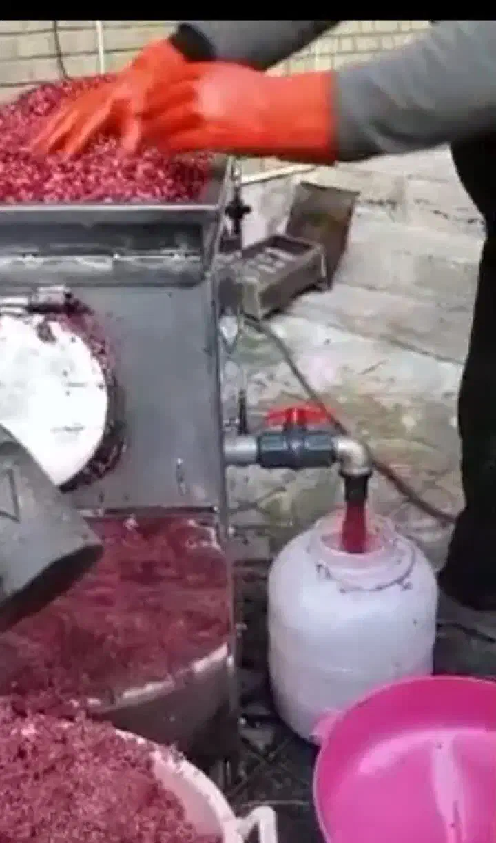 آب انار گیری و آب لیمو گیری|آبمیوهگیر و آبمرکباتگیر|ایذه, |دیوار