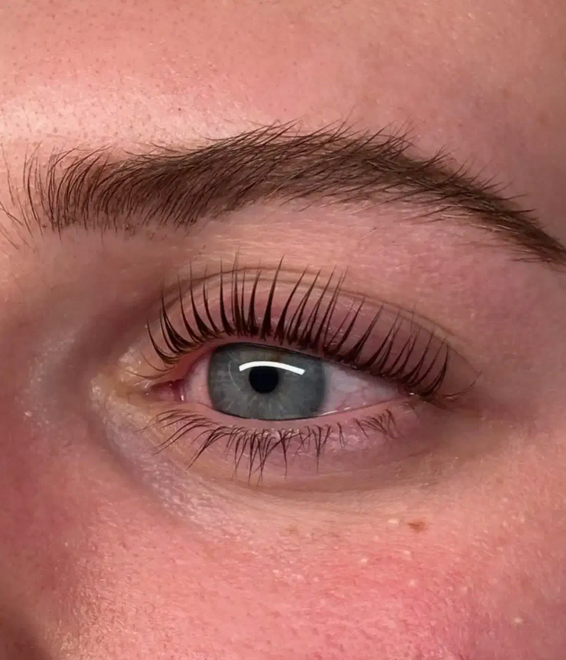 جشنواره آموزش اکستنشن و کاشت مژه و لیفت ابرو مژه|خدمات آموزشی|همدان, |دیوار