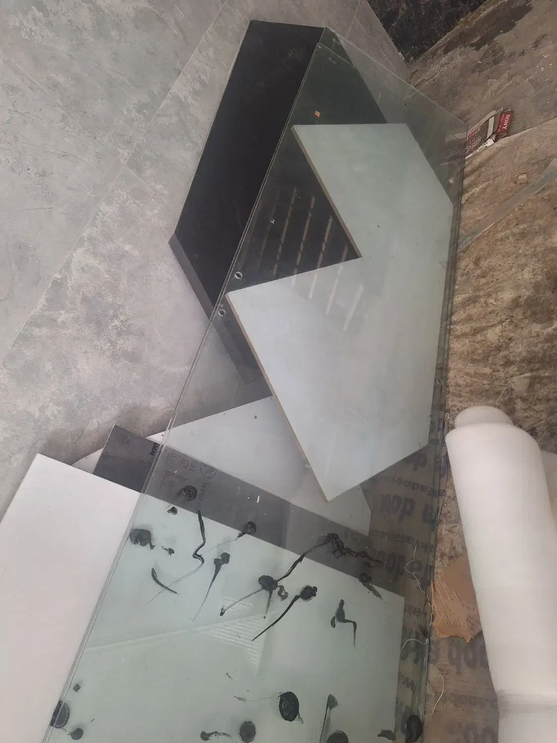 شیشه سکوریت|فروشگاه و مغازه|رشت, باهنر|دیوار