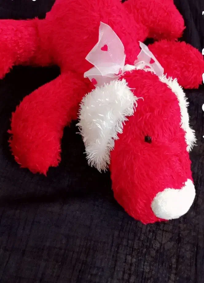 سگ قرمز با گوشهای سفید آویزون نو میباشد|اسباببازی|فردیس, قریشی|دیوار