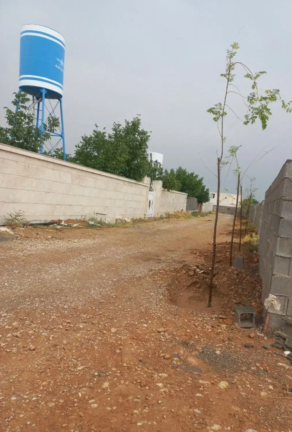 پلاک ۱۰۰۰ متری باغی سر دونبش کوچه دو راهی کودیان|فروش زمین و ملک کلنگی|شیراز, کودیان|دیوار