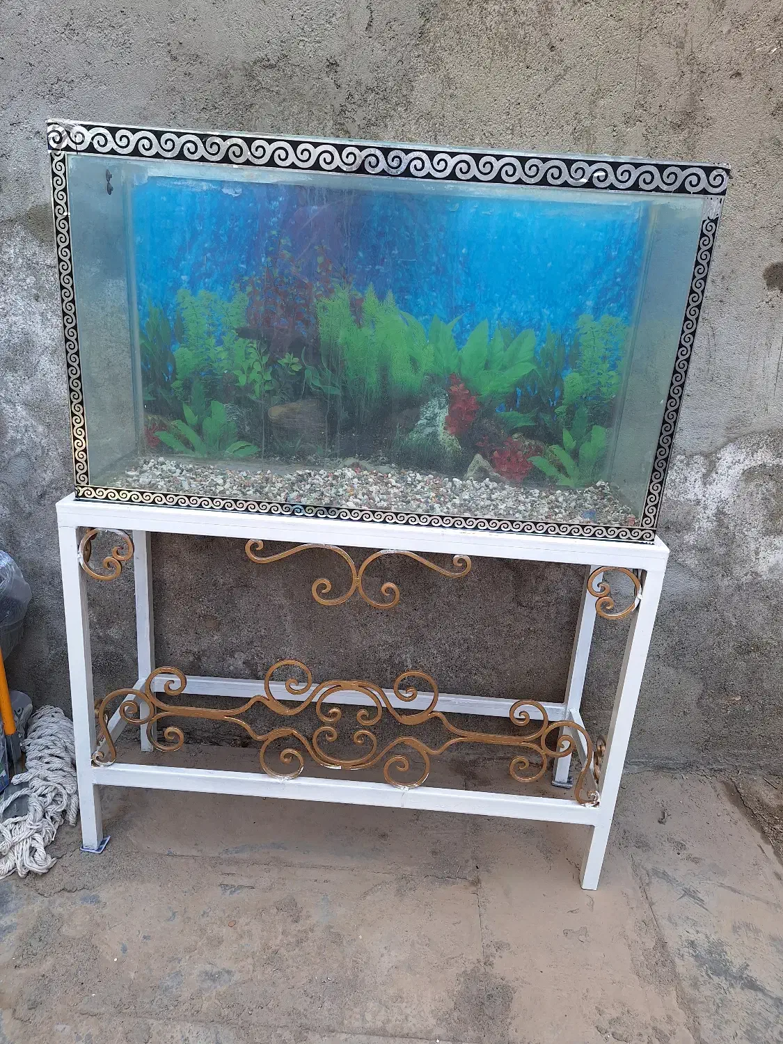 اکواریوم با وسایل|ماهی|پاکدشت, شهرک انقلاب|دیوار