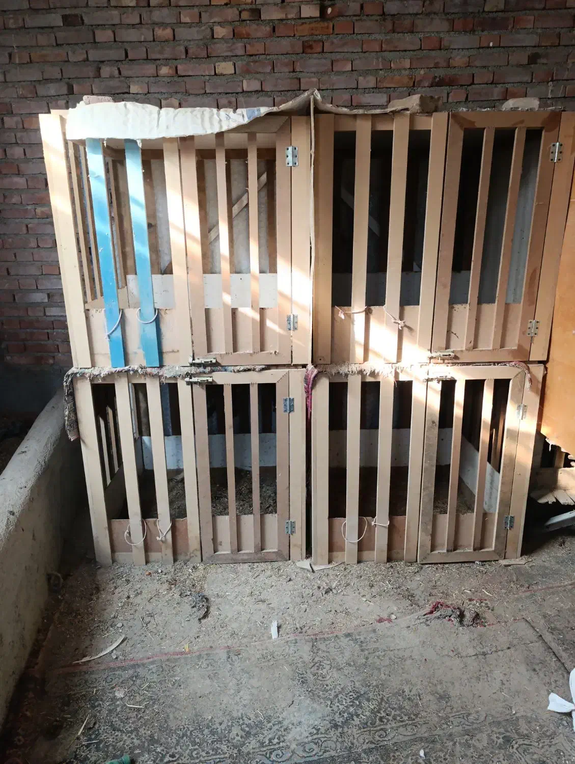 قفس|لوازم جانبی حیوانات|نقده, |دیوار