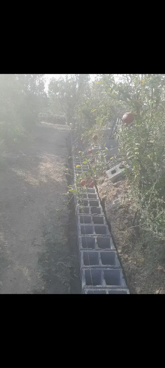 بنا|خدمات پیشه و مهارت|قم, ارم|دیوار