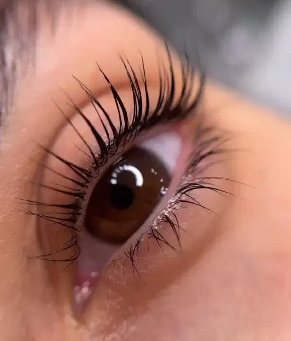 ۱۰ درصد تخفیف آموزش لیفت ابرو و مژه|خدمات آرایشگری و زیبایی|زهک, |دیوار