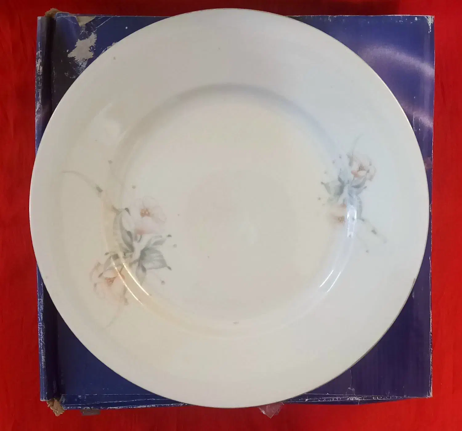 چینی وکریستال|ظروف سرو و پذیرایی|مشهد, خواجه ربیع|دیوار