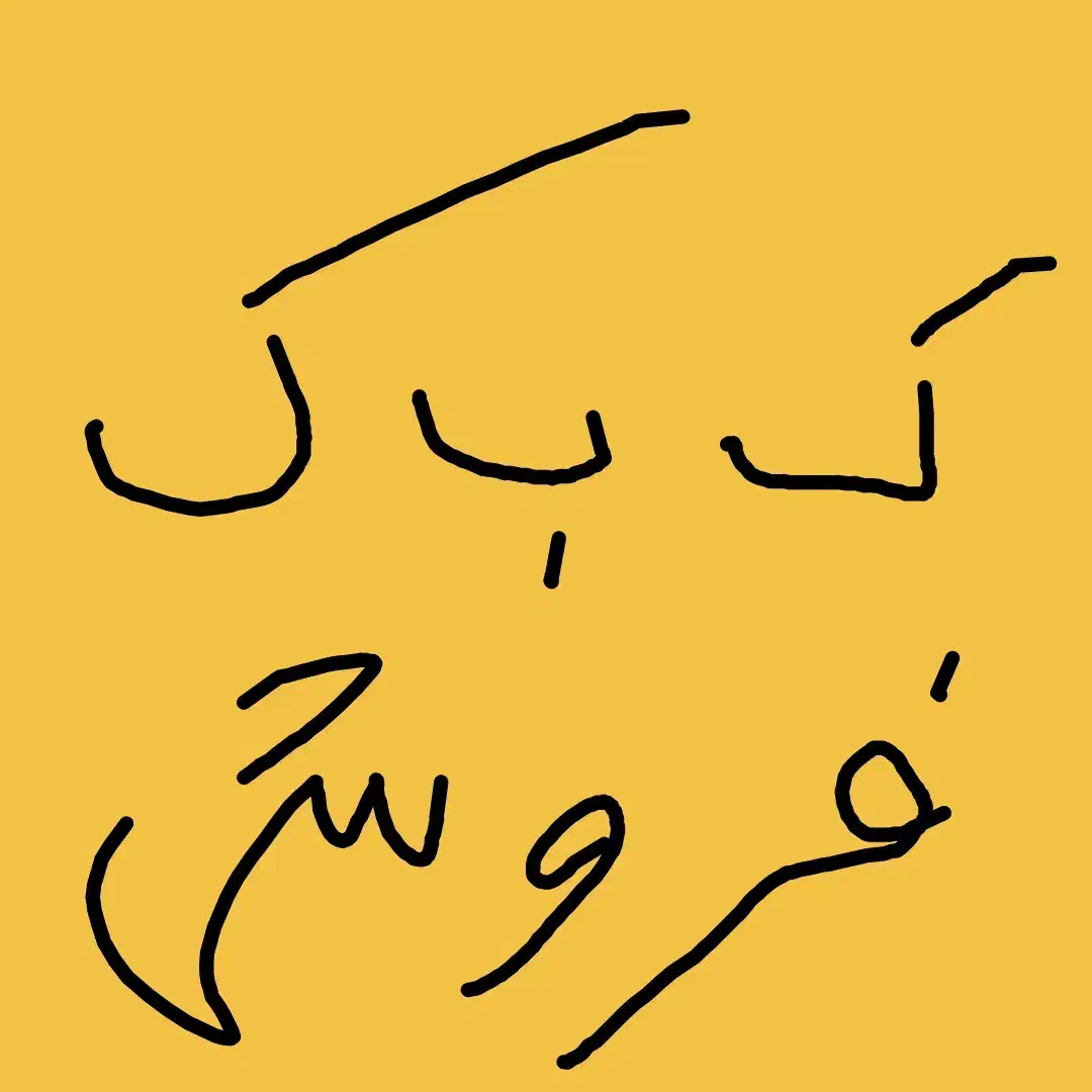 کبوتر نر تو فیلم فروشی|پرنده|بهبهان, |دیوار