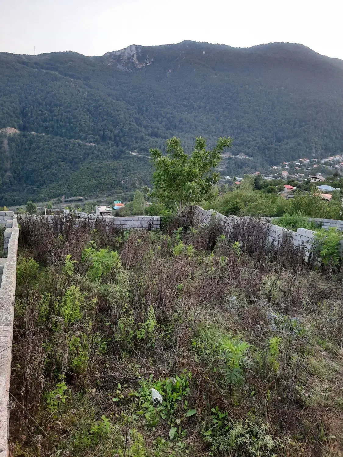 فروش زمین مسکونی در ییلاق با ویو ابدی|فروش زمین و ملک کلنگی|آلاشت, |دیوار