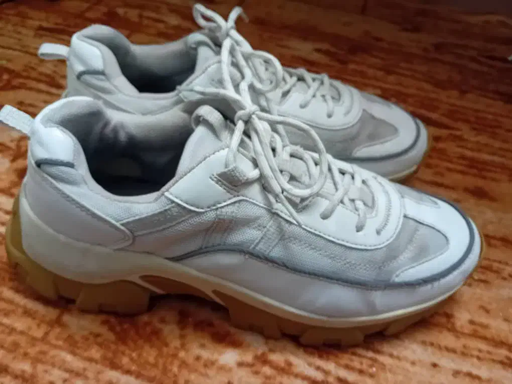 اسپورت|کیف، کفش، کمربند|یزد, |دیوار