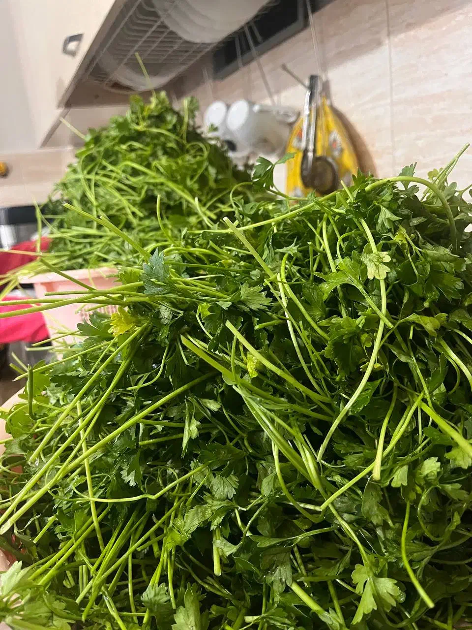 سفارش انواع سبزی سرخ کرده پیاز دلمه پذیرفته میشود|خوردنی و آشامیدنی|لاهیجان, گلستان|دیوار