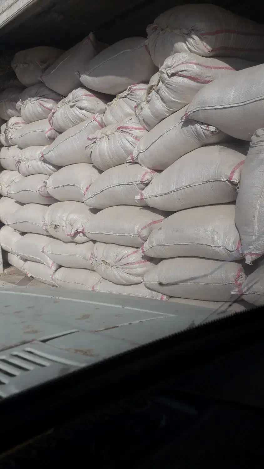 کاه دیم کردستان|حیوانات مزرعه|زابل, |دیوار