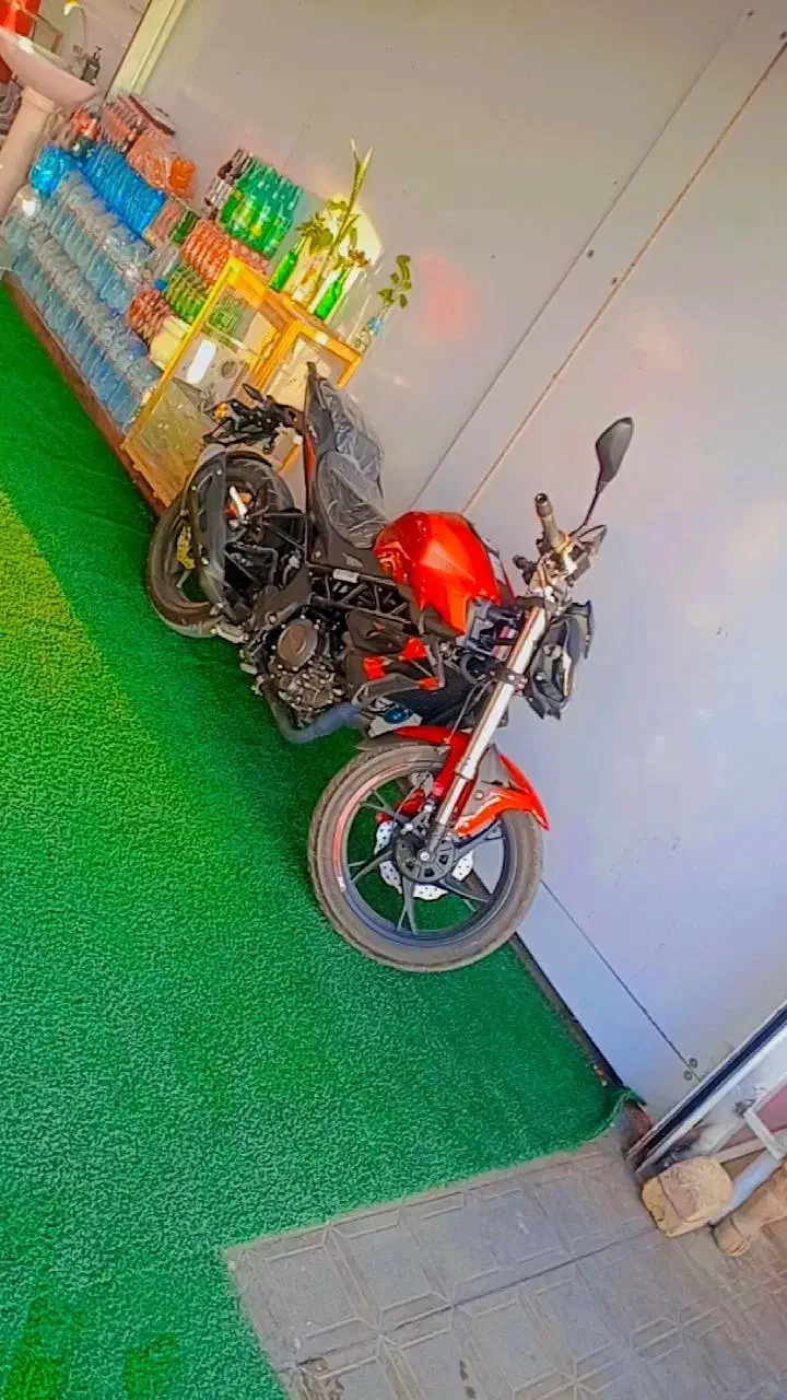 موتور بنلی 250|موتورسیکلت|بیرجند, |دیوار