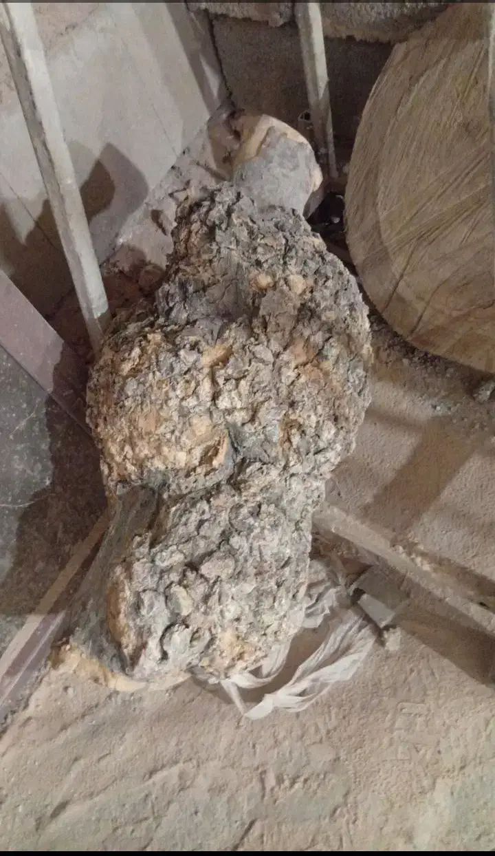 انواع کالباسی وچوب وجوش برای کارهای هنری ورزین|صنایع دستی و سایر لوازم تزئینی|کرمان, |دیوار