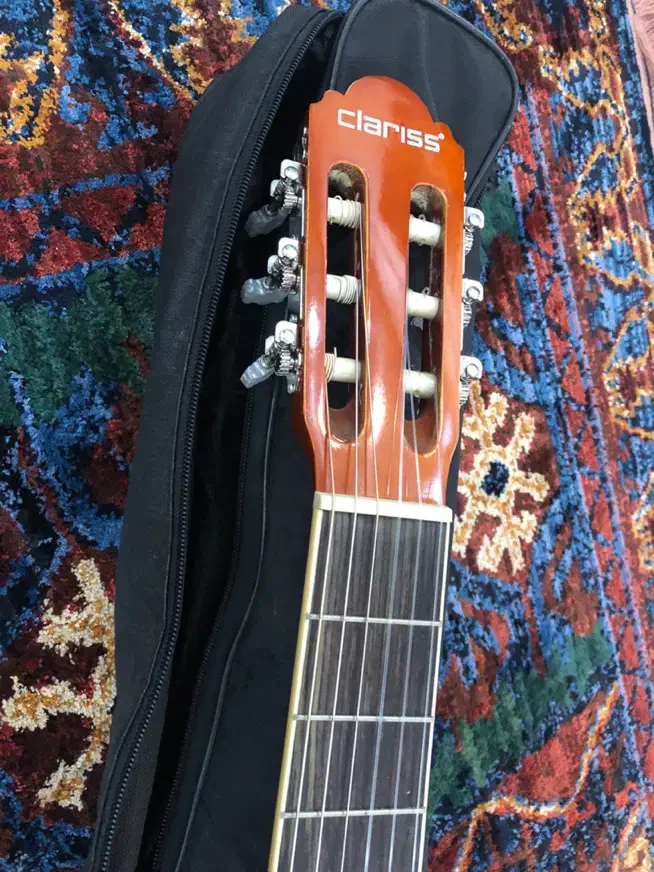 گیتار کلاریس ccg100nt نو|گیتار، بیس، امپلیفایر|مشهد, آزادشهر|دیوار