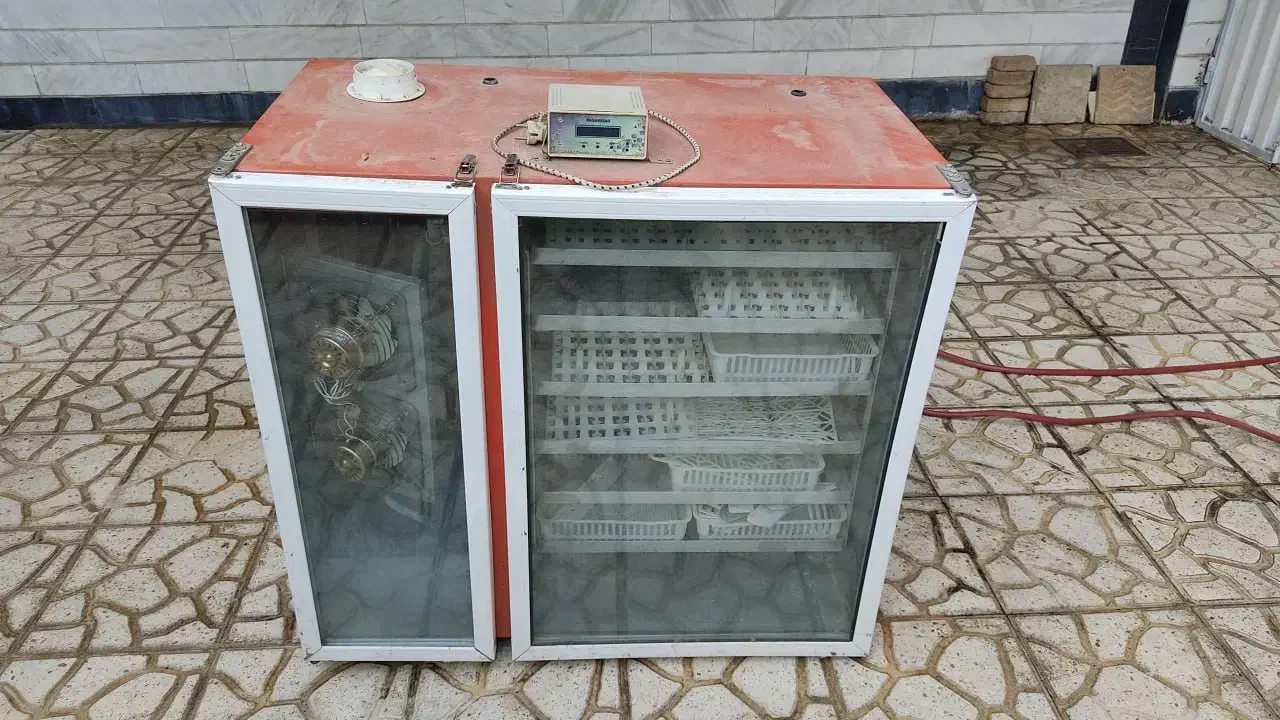 دستگاه جوجه کشی|لوازم جانبی حیوانات|ملایر, |دیوار