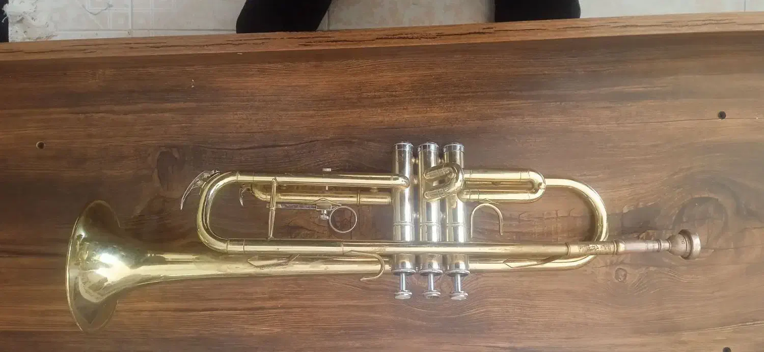 ساز ترومپت برنجی سالم|سازهای بادی|کرمان, |دیوار