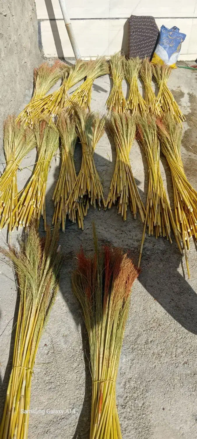 جارو خوب|لوازم نظافت|الشتر, |دیوار