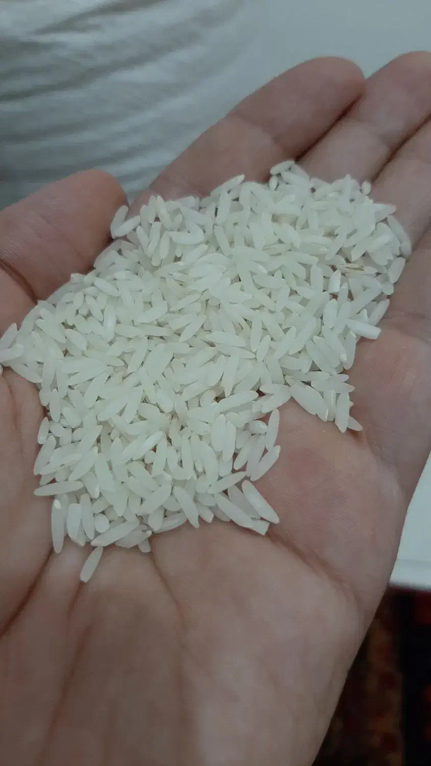 ۱۵ کیلوبرنج هاشمی اورگانیک|خوردنی و آشامیدنی|رشت, خمیران زاهدان|دیوار