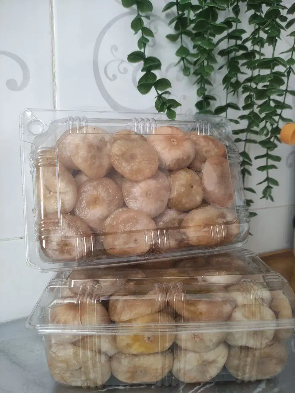 انجیر تیزابی|خوردنی و آشامیدنی|دشت ذهاب, |دیوار