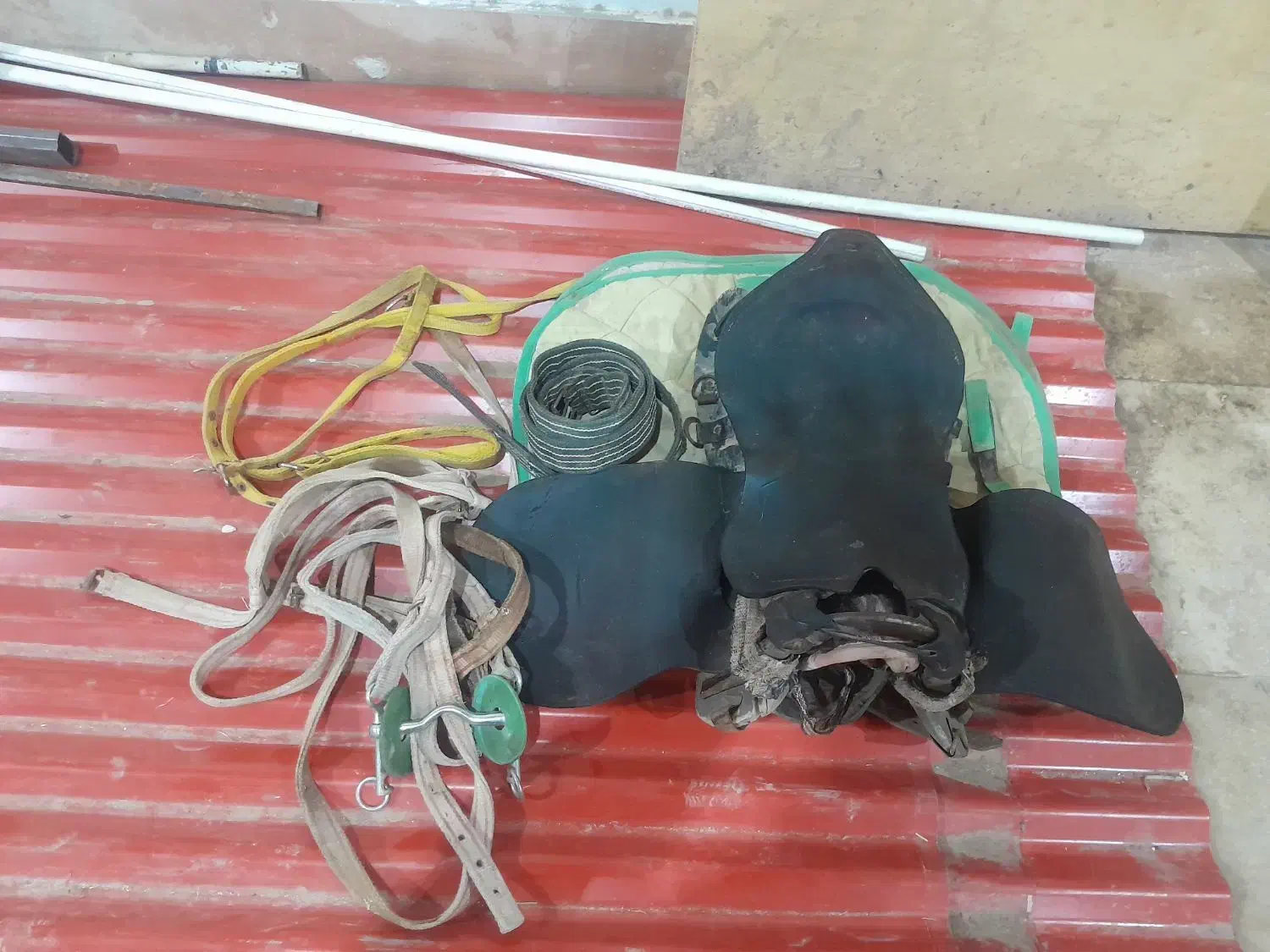 وسایل سوار کاری|اسب و تجهیزات اسب‌سواری|اهر, |دیوار