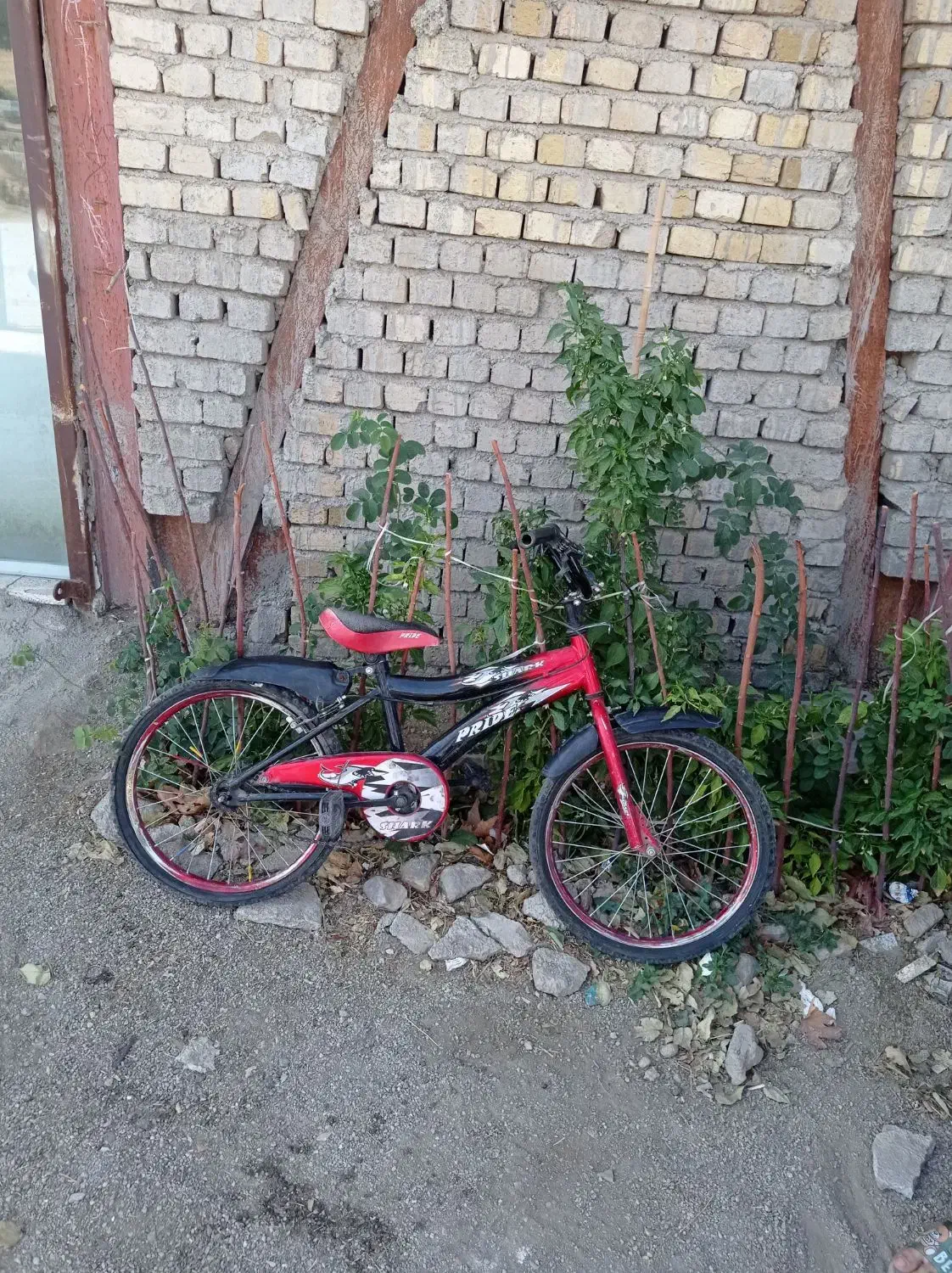 دوچرخه 20|دوچرخه، اسکیت، اسکوتر|نهاوند, |دیوار