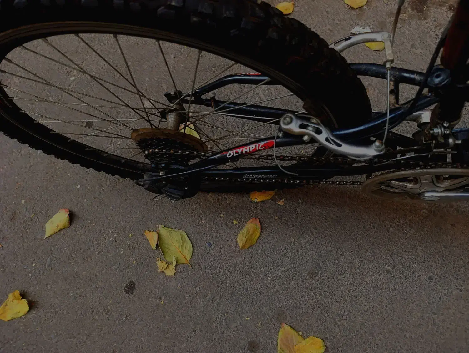 دوچرخه 26 Olympic بهترین و کمیاب تمرین مارک بازار|دوچرخه، اسکیت، اسکوتر|تهران, سبلان (لشگر)|دیوار